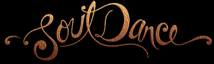 Soul Dance School of Romany and Middle Eastern Dance logo